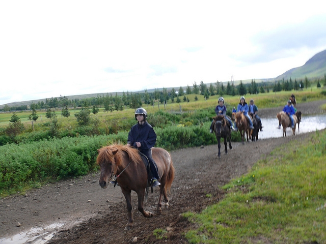  Guided horseback riding routes for groups 